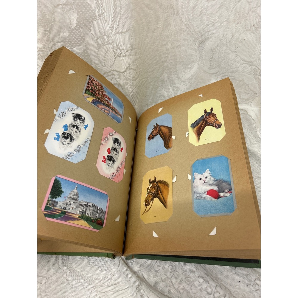 Vintage 1940s 1950s My Card Collection Album Full Pinup Girls Horses Dogs Swap - Picture 7 of 10